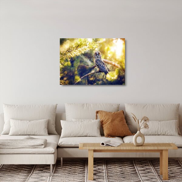 Skleněný obraz sovy na stromě (70x50 cm)