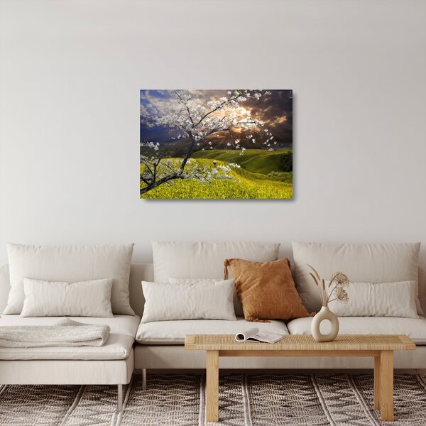 Skleněný obraz - Rozkvetlý strom v krajině (70x50 cm)