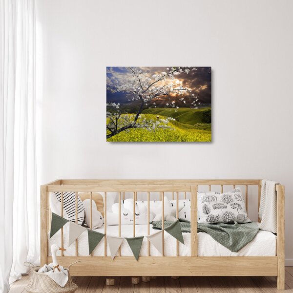 Skleněný obraz - Rozkvetlý strom v krajině (70x50 cm)