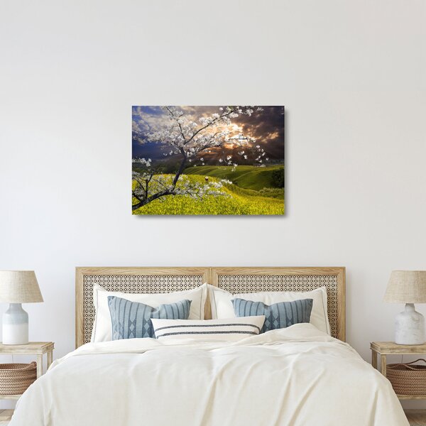 Skleněný obraz - Rozkvetlý strom v krajině (70x50 cm)