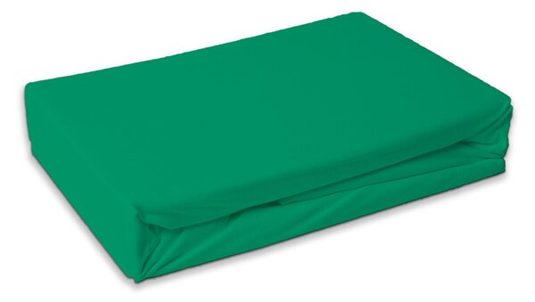 Froté prostěradlo PREMIUM mentolové 140x200 cm