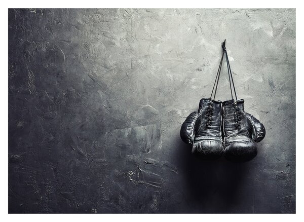 Skleněný obraz boxerských rukavic (70x50 cm)