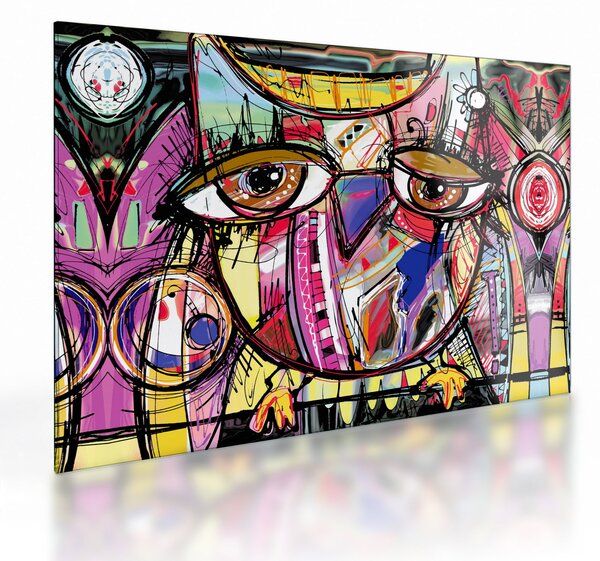 Skleněný obraz - Street art - sova (70x50 cm)