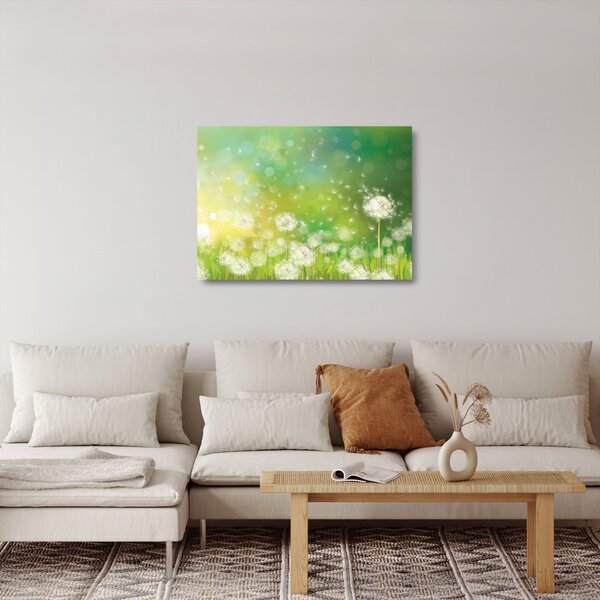 Skleněný obraz - Odkvetlé pampelišky (70x50 cm)