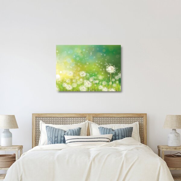 Skleněný obraz - Odkvetlé pampelišky (70x50 cm)