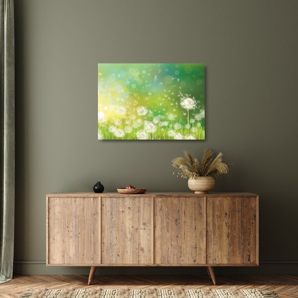 Skleněný obraz - Odkvetlé pampelišky (70x50 cm)