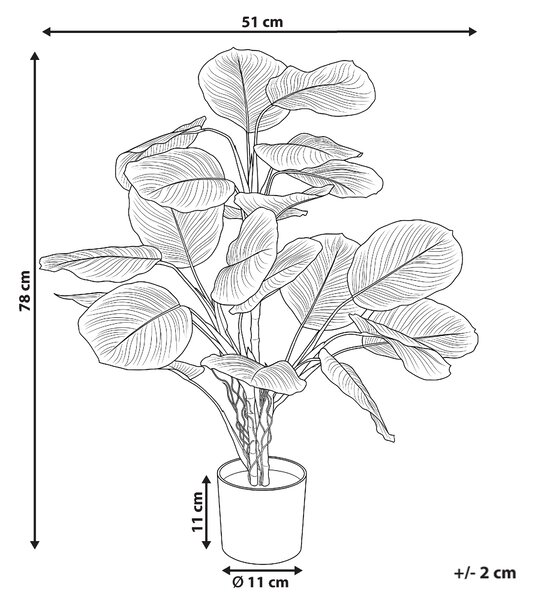Umělá rostlina CALATHEA 78 cm Zelená