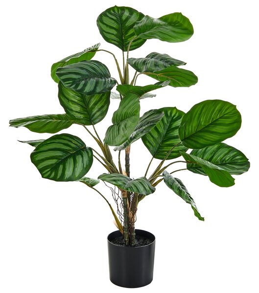 Umělá rostlina CALATHEA 78 cm Zelená