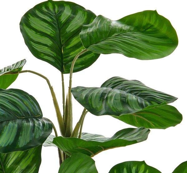 Umělá rostlina CALATHEA 78 cm Zelená