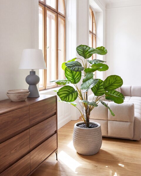Umělá rostlina CALATHEA 78 cm Zelená
