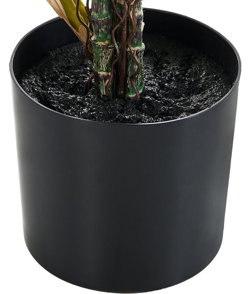 Umělá rostlina CALATHEA 78 cm Zelená