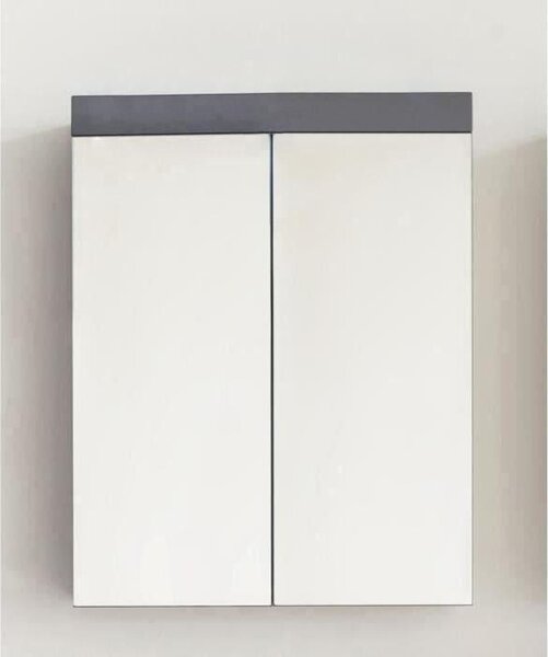 Koupelnová skříňka se zrcadlem AMANDA, 2 dveře, 60 x 17 x 77 cm, matná šedá, závěsná, TRENDTEAM