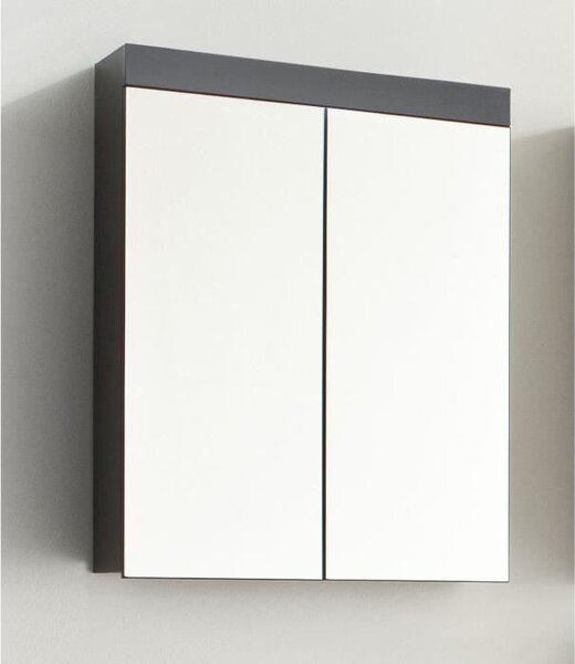 Koupelnová skříňka se zrcadlem AMANDA, 2 dveře, 60 x 17 x 77 cm, matná šedá, závěsná, TRENDTEAM