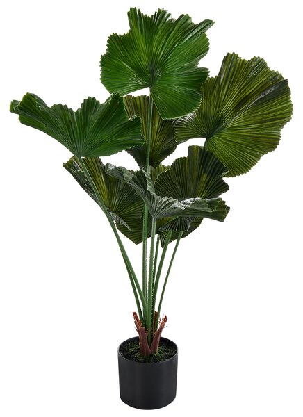 Umělá rostlina RUFFLED FAN PALM 98 cm Zelená