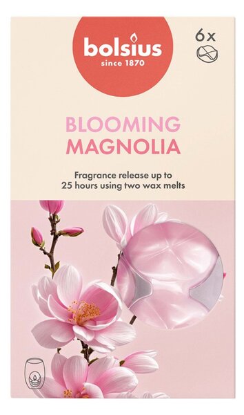 VOSKY VONNÉ MAGNOLIE, SADA 6KS