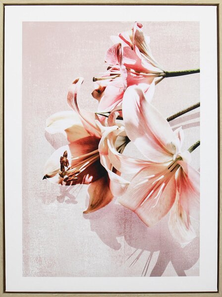 TIŠTĚNÉ OBRAZY NA PLÁTNĚ, květiny, 45/60 cm Monee - Umělecký tisk