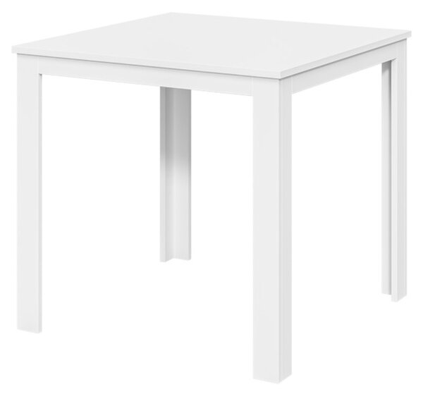 Konferenční stolek JENA 2, 80x60x80, bílá