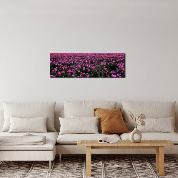 Obraz - Louka fialových tulipánů (s hodinami) (90x30 cm)
