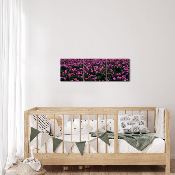 Obraz - Louka fialových tulipánů (s hodinami) (90x30 cm)