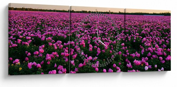 Obraz - Louka fialových tulipánů (s hodinami) (90x30 cm)