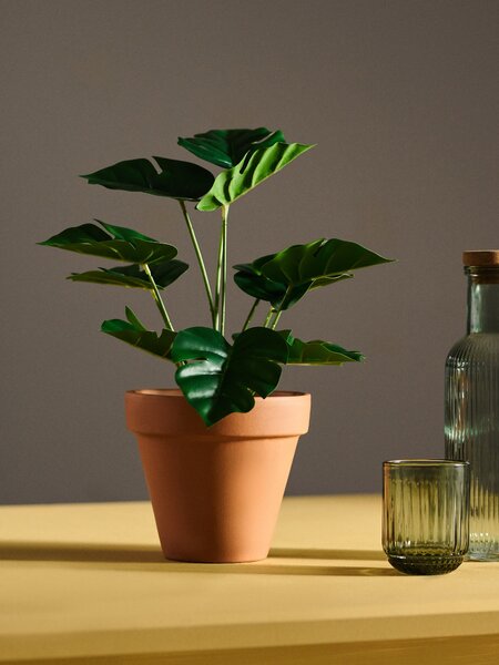 Sinsay - Decorative plant in a pot - zelená
