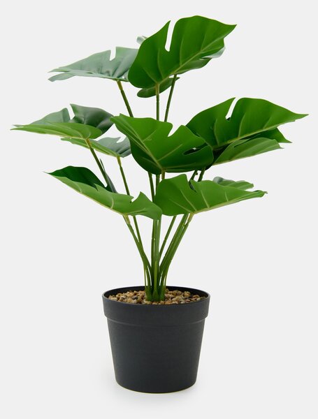 Sinsay - Decorative plant in a pot - zelená