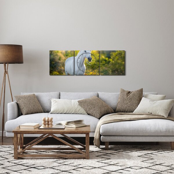 Obraz bílého koně na louce (s hodinami) (90x30 cm)