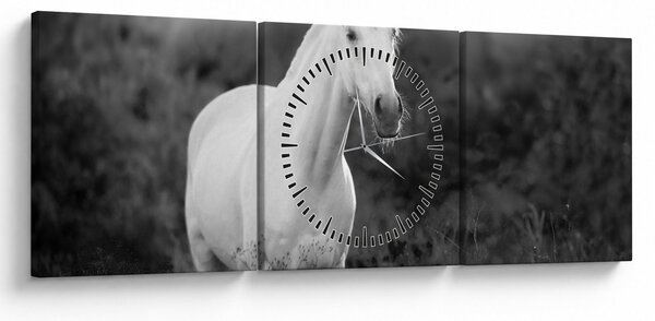 Obraz bílého koně na louce, černobílá (s hodinami) (90x30 cm)