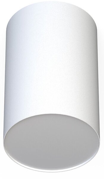 Nowodvorski Lighting Point Plexi stropní světlo 1x20 W bílá 6528