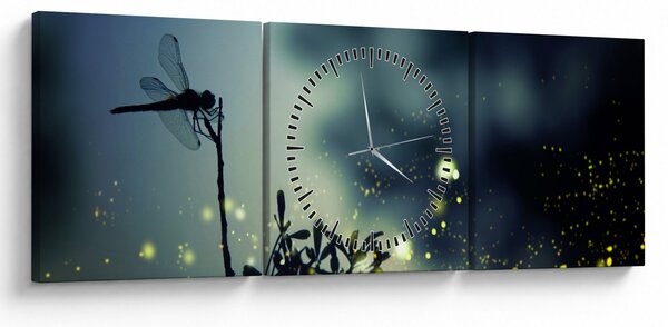 Obraz - Vážka za třpytivé noci (s hodinami) (90x30 cm)
