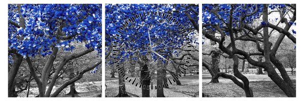 Obraz - Modré stromy, Central Park, New York (s hodinami) (90x30 cm)