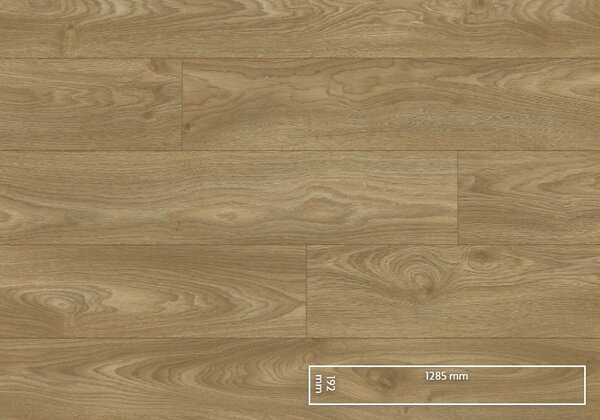 KPP - Euphoria V4 - Atlas Oak 56602 1,973 m2