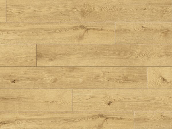 Vinylová podlaha CLASSEN NUVA ESSENTIAL Glue 65180 Organic Oak Brown