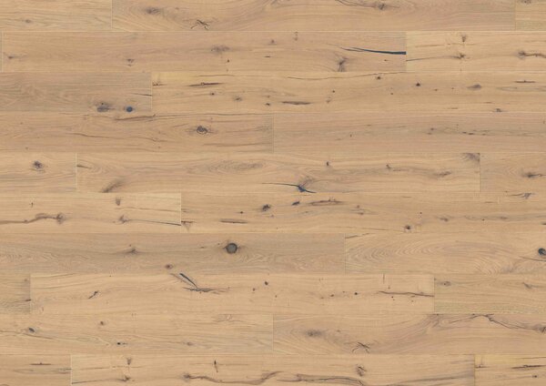 KPP Dub Platon 10173 2,904 m2