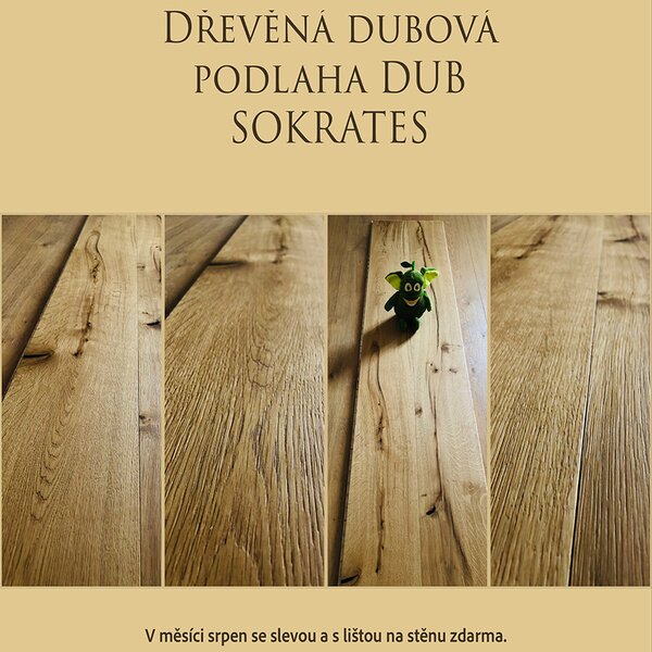 KPP dub Sokrates 10172 2,904 m2