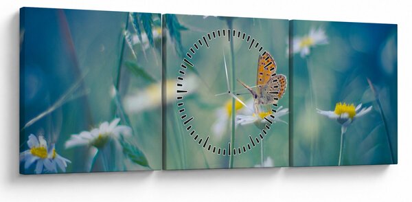 Obraz - Motýl na sedmikrásce (s hodinami) (90x30 cm)