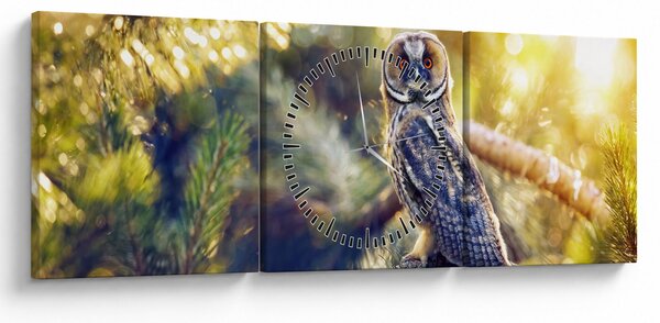 Obraz sovy na stromě (s hodinami) (90x30 cm)