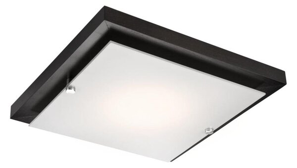 Stropní svítidlo 1xE27/60W/230V