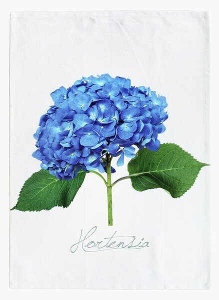 Keprová utěrka HORTENZIE MODRÁ 50 x 71 cm