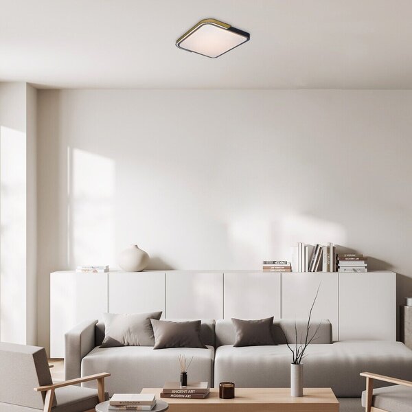 71146 LED RGB Stmívatelné stropní svítidlo ARILDLED 48W