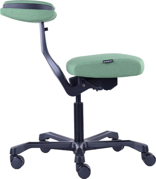 LTC Ergonomická kancelářská židle UN2601-1B EVO zelená