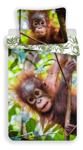 Jerry Fabrics Bavlněné povlečení Orangutan, 140 x 200 cm, 70 x 90 cm
