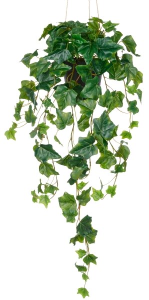 Umělá popínavá rostlina Břečťan popínavý závěsný, 75cm