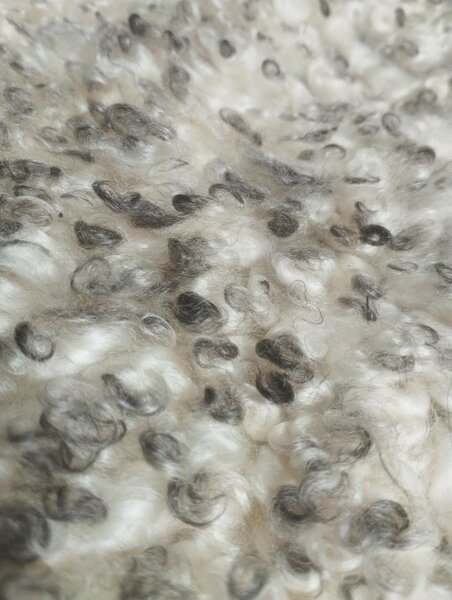 ARCTIC FUR Ovčí dekorační kožešinka GOTLAND 6132