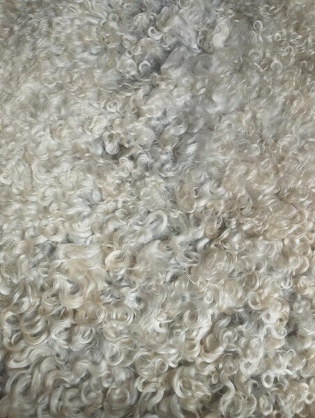 ARCTIC FUR Ovčí dekorační kožešinka GOTLAND 6133