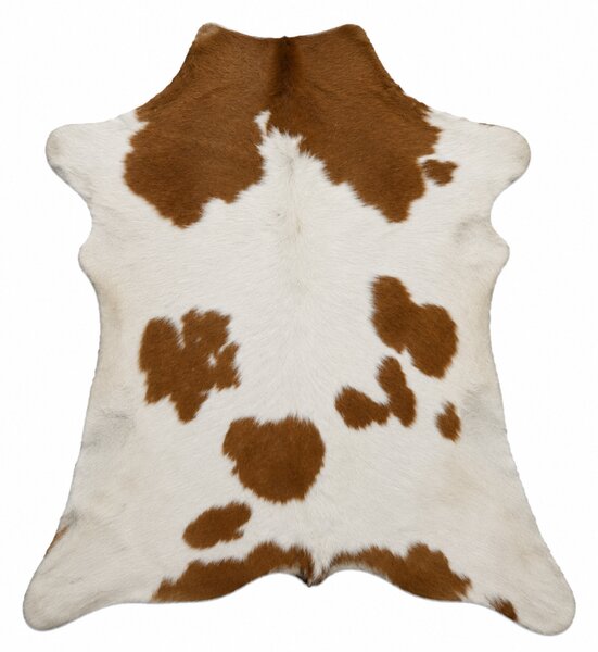 ARCTIC FUR Teletina ALVA 6204 100% příroda