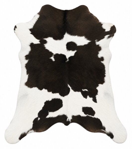 ARCTIC FUR Teletina ALVA 6199 100% příroda