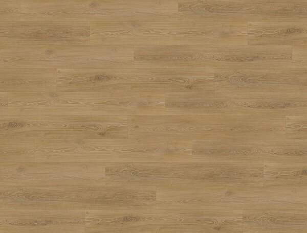 FLOOR FOREVER XL Dub medový 9947 - 4.18 m2