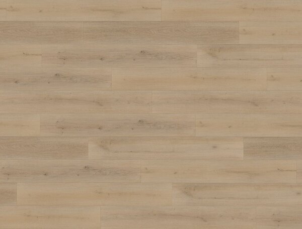 FLOOR FOREVER XL click rigid Dub evropský 9953 - 2.78 m2