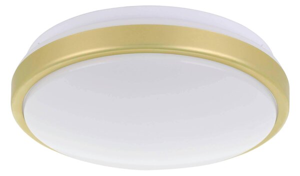 STROPNÍ SVÍTIDLO, 24,5/9 cm Eglo - Online Only svítidla, Online Only